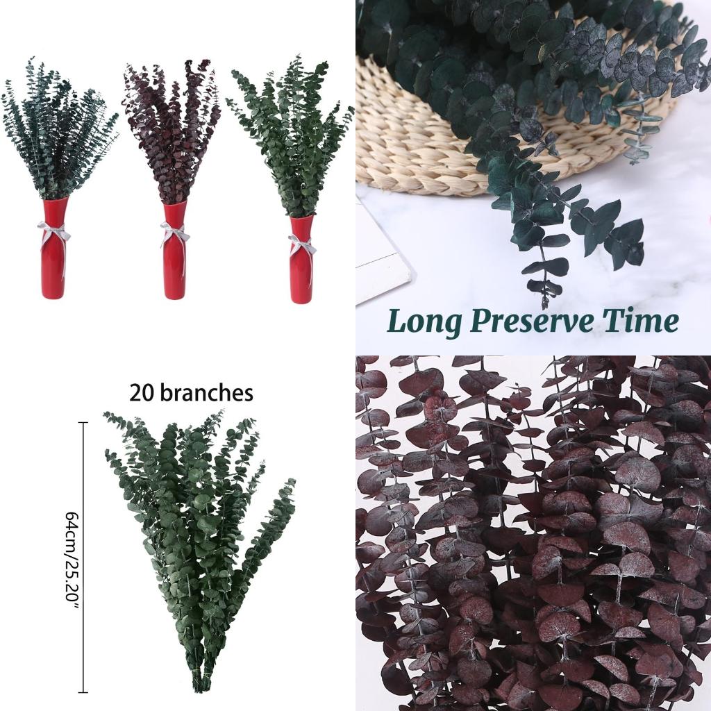 Eucalyptus Preserved - 신선한 유칼립투스 가지에 보존 된 20Pcs