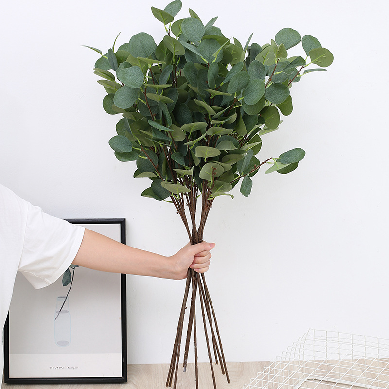 Eucalyptus Preserved - 1pcs 인공 유칼립투스 사과 잎 가지